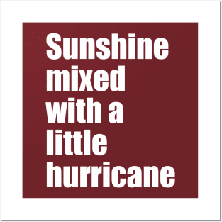 Sunshine mixed with a little hurricane Posters and Art